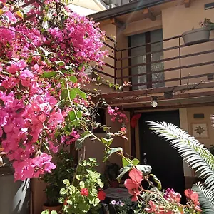 Mizzicahome Solemare Gasthof